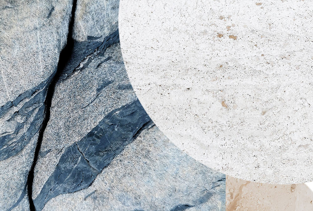 Case Study: How a Second-Generation Family Succeeded in Untangling a Web of Complex Assets