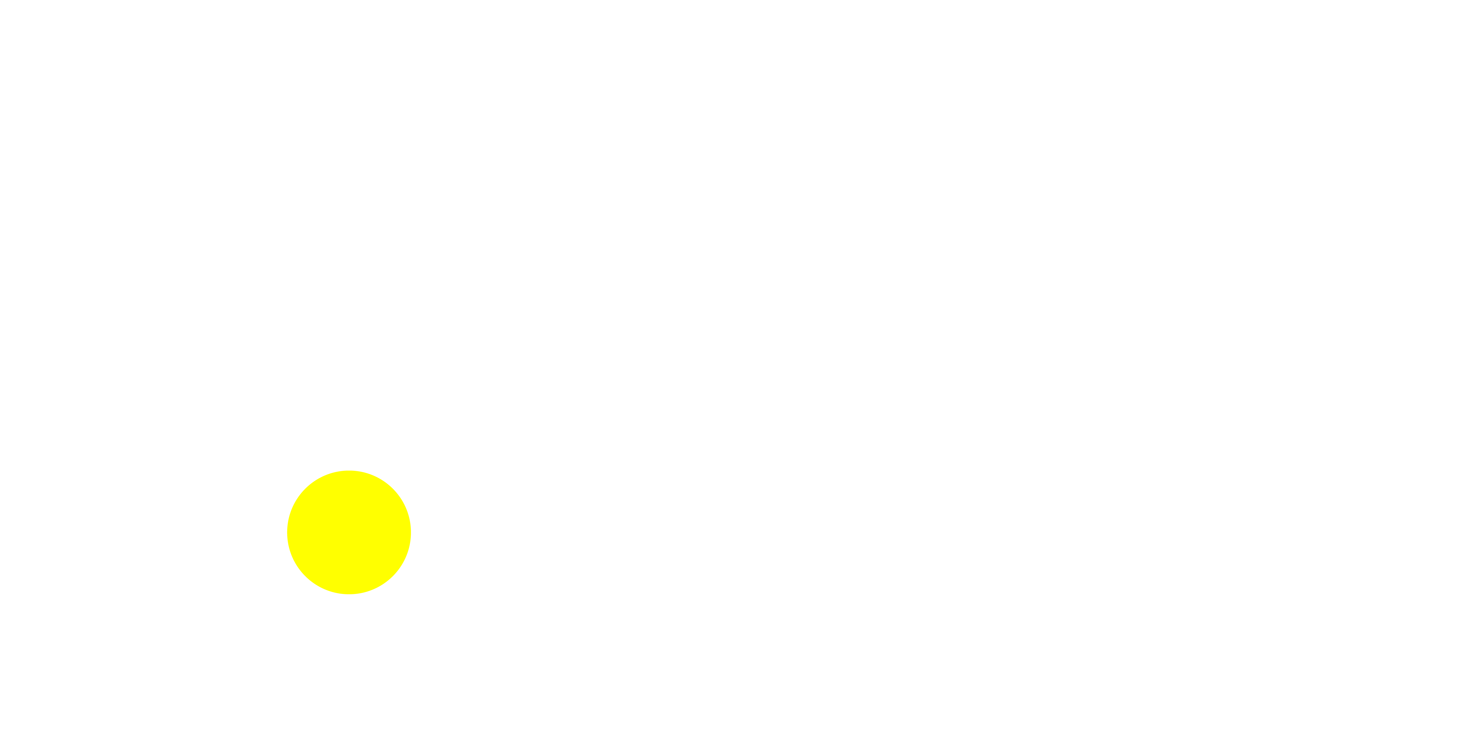 Dashamlav Wallet